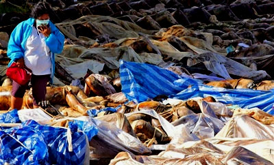 A woman looks for a lost loved one among the dead