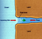 Tidal bore illustration