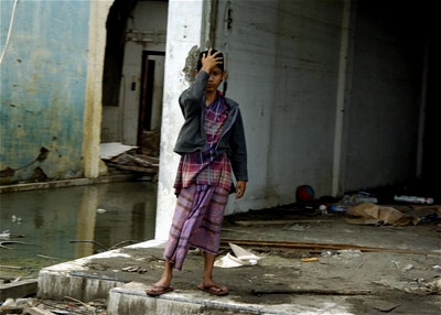 A woman views the destrucion of a section of Banda Aceh